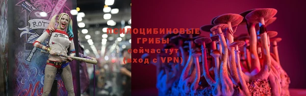 спайс Алексеевка