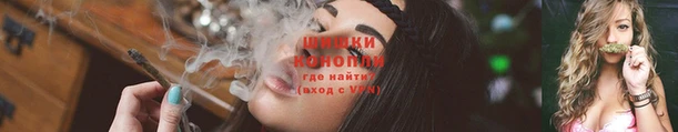 сатива Протвино
